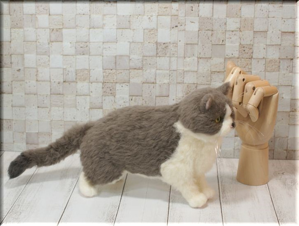 羊毛フェルト　猫　ブリティッシュ・ショートヘアさん　ねこ　ネコ　猫フィギュア 2枚目の画像
