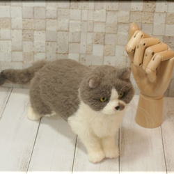 羊毛フェルト　猫　ブリティッシュ・ショートヘアさん　ねこ　ネコ　猫フィギュア 4枚目の画像