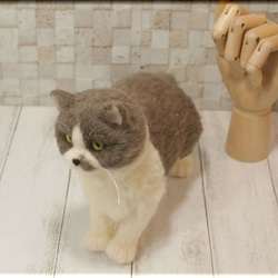 羊毛フェルト　猫　ブリティッシュ・ショートヘアさん　ねこ　ネコ　猫フィギュア 5枚目の画像