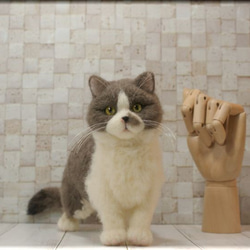 羊毛フェルト　猫　ブリティッシュ・ショートヘアさん　ねこ　ネコ　猫フィギュア 6枚目の画像