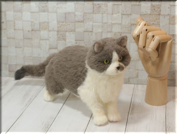 羊毛フェルト　猫　ブリティッシュ・ショートヘアさん　ねこ　ネコ　猫フィギュア 7枚目の画像