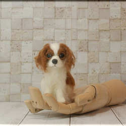 0_086ed0f4804790ef16eef4118cfd