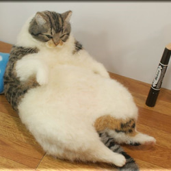 羊毛フェルト　猫　デブ猫さん　キジシロ　ねこ　ネコ　猫フィギュア　 7枚目の画像