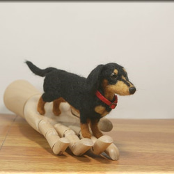 羊毛フェルト　犬　小さなダックスさん　手のひらサイズ　ダックスフント　ダックスフンド　犬フィギュア 2枚目の画像
