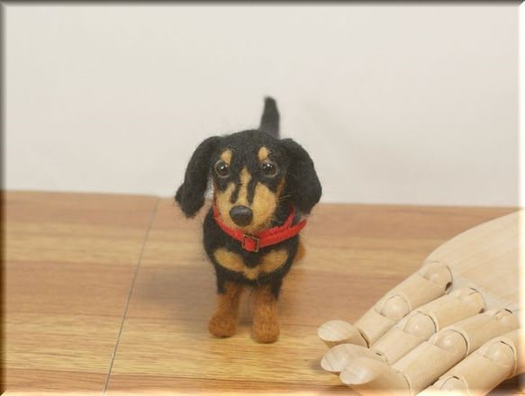 羊毛フェルト　犬　小さなダックスさん　手のひらサイズ　ダックスフント　ダックスフンド　犬フィギュア 3枚目の画像