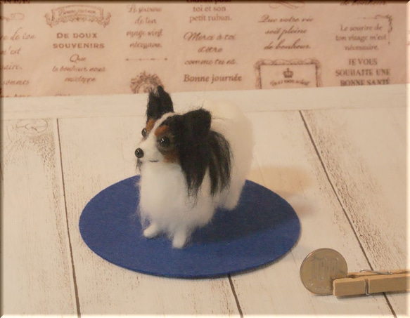 羊毛フェルト　犬　パピヨン　手のひらサイズ 4枚目の画像
