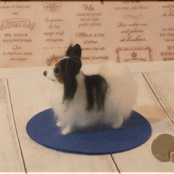 羊毛フェルト　犬　パピヨン　手のひらサイズ 6枚目の画像