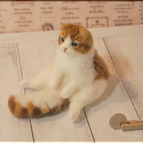 Amazon | もたこ 羊毛フェルト猫 スコティッシュフォールド 羊毛