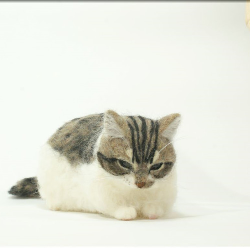 羊毛フェルト猫 白トビキジ 羊毛フェルト 猫 ぽっちゃりなキジシロさん