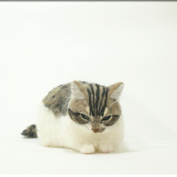 羊毛フェルト　猫　ぽっちゃりなキジシロさん　猫フィギュア　キジ白猫 5枚目の画像