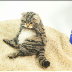 羊毛フェルト　猫　小太りなキジトラ猫さん　ねこ　ネコ　猫フィギュア 3枚目の画像
