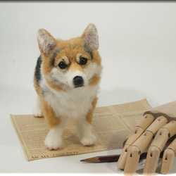 羊毛フェルト　犬　コーギーさん　ウェルシュ・コーギー　犬フィギュア 2枚目の画像