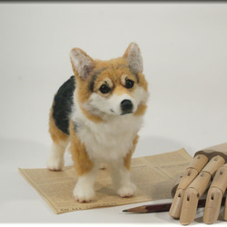 羊毛フェルト　犬　コーギーさん　ウェルシュ・コーギー　犬フィギュア 4枚目の画像