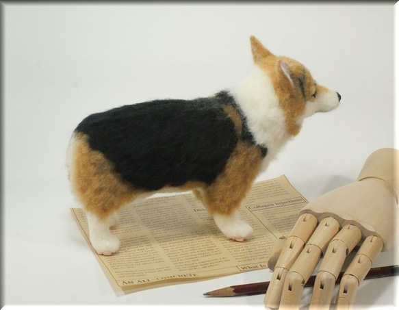 羊毛フェルト　犬　コーギーさん　ウェルシュ・コーギー　犬フィギュア 9枚目の画像