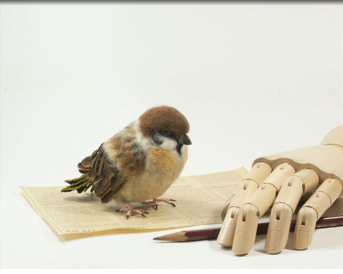 0_4fd65ceb69eff6f70f3ca3e8615d