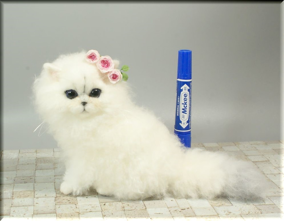 羊毛フェルト　猫　チンチラ等　オーダー受け付け 羊毛フェルト 猫 オーダー受け付け ペルシャ チンチラ キジトラ