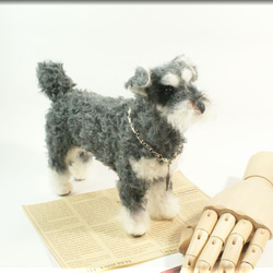 羊毛フェルト　犬　シュナウザーさん　犬フィギュア　ミニチュアシュナウザー 5枚目の画像