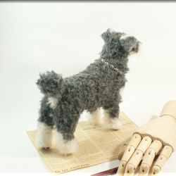 羊毛フェルト　犬　シュナウザーさん　犬フィギュア　ミニチュアシュナウザー 6枚目の画像