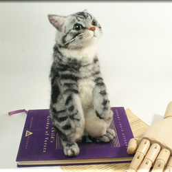 羊毛フェルト　猫　アメリカンショートヘア　立ちニャンコ　猫フィギュア　アメショー 1枚目の画像
