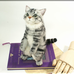 羊毛フェルト　猫　アメリカンショートヘア　立ちニャンコ　猫フィギュア　アメショー 3枚目の画像
