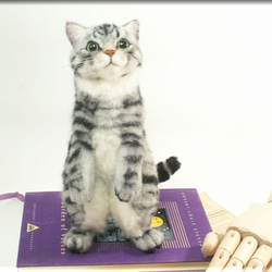 羊毛フェルト　猫　アメリカンショートヘア　立ちニャンコ　猫フィギュア　アメショー 9枚目の画像
