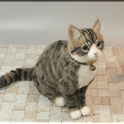 羊毛フェルト　猫　キジシロさん　猫フィギュア　キジ白猫 6枚目の画像