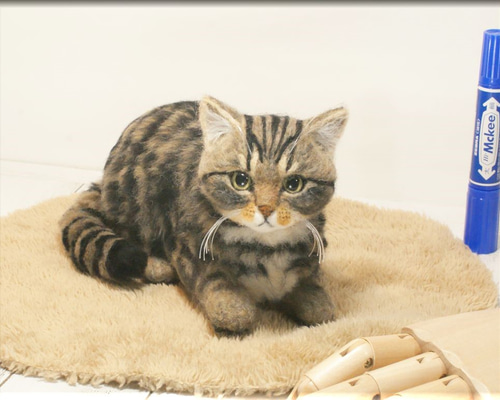 羊毛フェルト 猫 ☆☆ページ オーダー猫のタータン。 とっても美形な男の子。 またまた可愛い