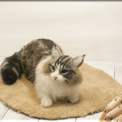 羊毛フェルト　猫　ノルウェージャンフォレストキャット　ねこ　ネコ　猫フィギュア 3枚目の画像
