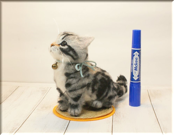羊毛フェルト 猫 アメリカンショートヘア アメショちゃん 猫 羊毛フェルト 猫 アメリカンショートヘア アメショちゃん 猫