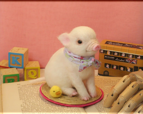 0_b67da9fb56f9ea1af8cccdc2c57c