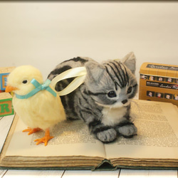 羊毛フェルト　猫　鳥　アメリカンショートヘアの子猫　と　ヒヨコ　猫フィギュア　鳥フィギュア　アメショー 3枚目の画像