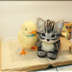 羊毛フェルト　猫　鳥　アメリカンショートヘアの子猫　と　ヒヨコ　猫フィギュア　鳥フィギュア　アメショー 6枚目の画像