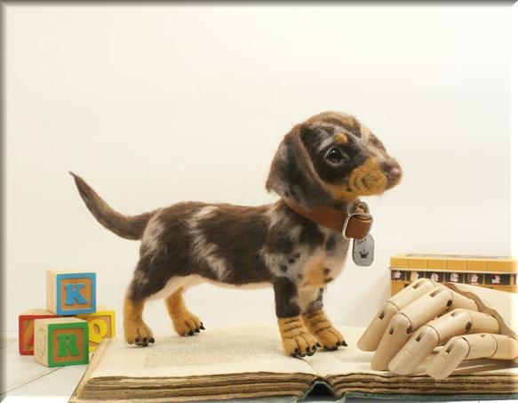 羊毛フェルト　犬　ダックスさん　ダップル　ダックスフント　ダックスフンド　犬フィギュア 5枚目の画像