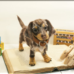 羊毛フェルト　犬　ダックスさん　ダップル　ダックスフント　ダックスフンド　犬フィギュア 8枚目の画像