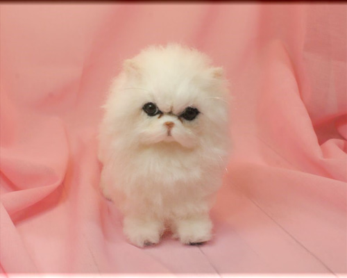 羊毛フェルト 猫 チンチラシルバー ペルシャ猫 ねこ ネコ 猫フィギュア