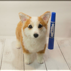 羊毛フェルト 犬 コーギー ウェルシュ・コーギー 犬フィギュア 羊毛