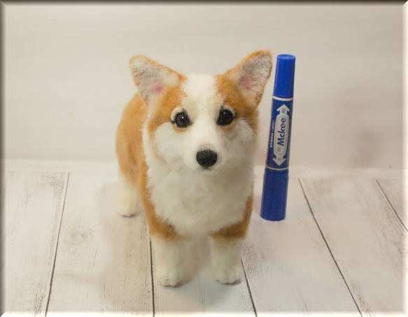 羊毛フェルト　ウエルシュコーギー ウェルシュ・コーギー 羊毛フェルト ぬいぐるみ 犬 置き物