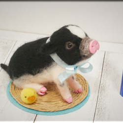 羊毛フェルト　豚　ミニブタちゃん　ブタ　ぶた　豚フィギュア 1枚目の画像
