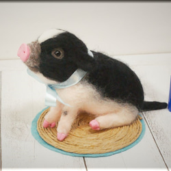 羊毛フェルト　豚　ミニブタちゃん　ブタ　ぶた　豚フィギュア 4枚目の画像