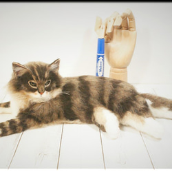 羊毛フェルト　猫　サイベリアン　ねこ　ネコ　猫フィギュア 1枚目の画像