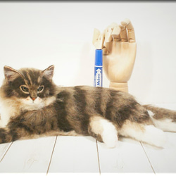 羊毛フェルト　猫　サイベリアン　ねこ　ネコ　猫フィギュア 4枚目の画像