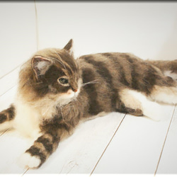羊毛フェルト　猫　サイベリアン　ねこ　ネコ　猫フィギュア 5枚目の画像