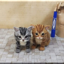 ✿羊毛フェルト✿mahi様✿茶トラ猫ちゃん✿秋ver✿どんぐり隊✿みのむしくん✿ funwari□□□ 羊毛フェルト 子猫 茶トラ お座り 猫