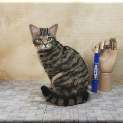 羊毛フェルト 猫 キジトラさん キジ猫 ねこ ネコ 羊毛フェルト
