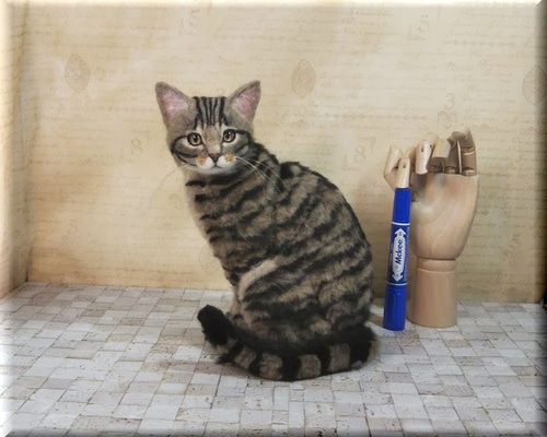 0_d59470c49eb8616762243abf1aca