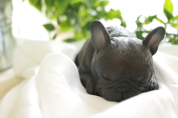 貪睡的法鬥 frenchbulldog 居家擺飾 / 辦公室療癒小物 第9張的照片