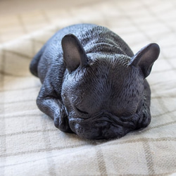 貪睡的法鬥 frenchbulldog 居家擺飾 / 辦公室療癒小物 第5張的照片