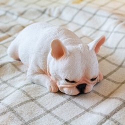 貪睡的法鬥 frenchbulldog 居家擺飾 / 辦公室療癒小物 第6張的照片