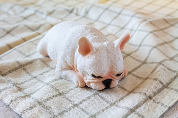 貪睡的法鬥 frenchbulldog 居家擺飾 / 辦公室療癒小物 第6張的照片