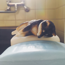 柴犬君 Shiba Inu 動物筷架 / 筆架 / 辦公室療癒小物 /黑色柴犬 第5張的照片